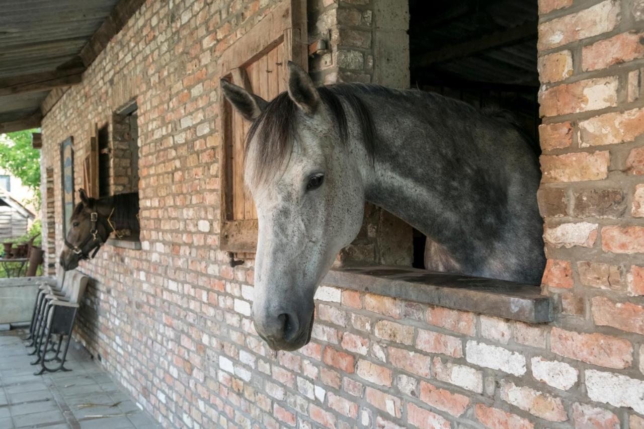 B&B Het Soetewater Beernem Zewnętrze zdjęcie